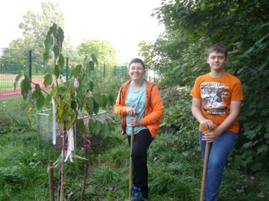 Neuer Kirschbaum für das JMG vom Partnergymnasium aus Wiehl